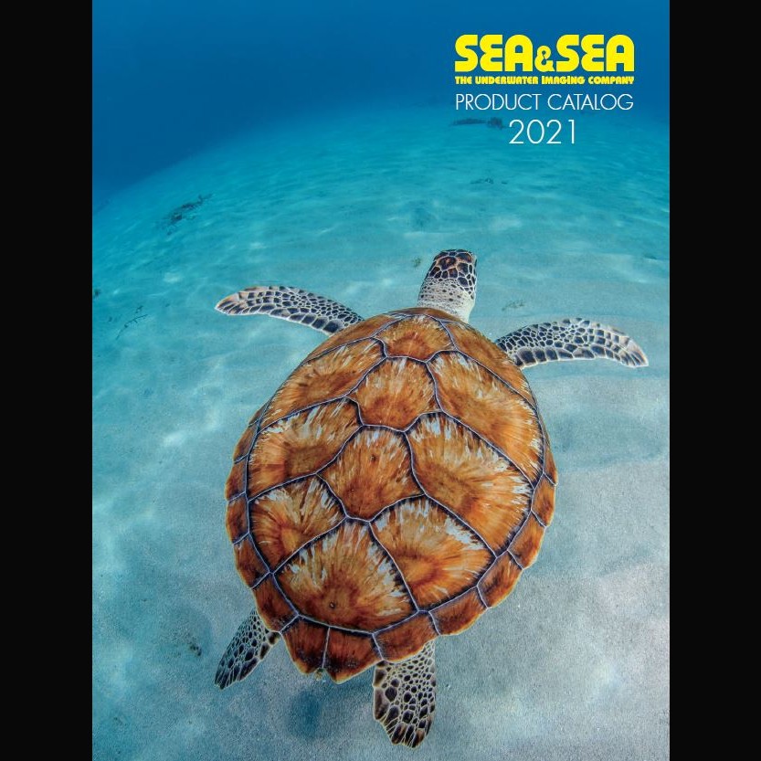 Sea&Sea 2021 catalog