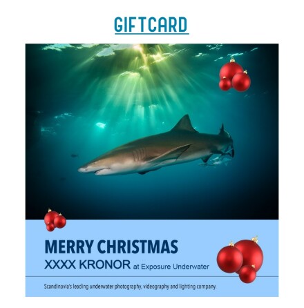 Gift card Exposure Underwater