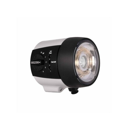 Strobe Ikelite DS230 with modeling light (Head only)