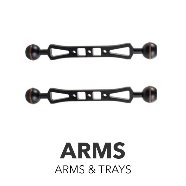Arms Arms & Trays