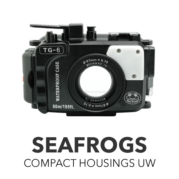 Seafrogs Compact