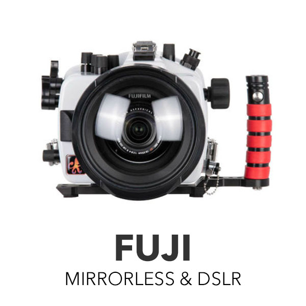Fuji Mirrorless & DSLR