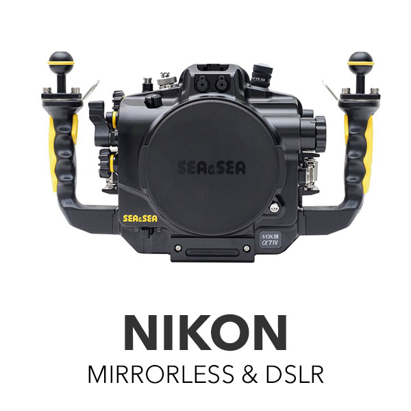 Nikon Mirrorless & DSLR