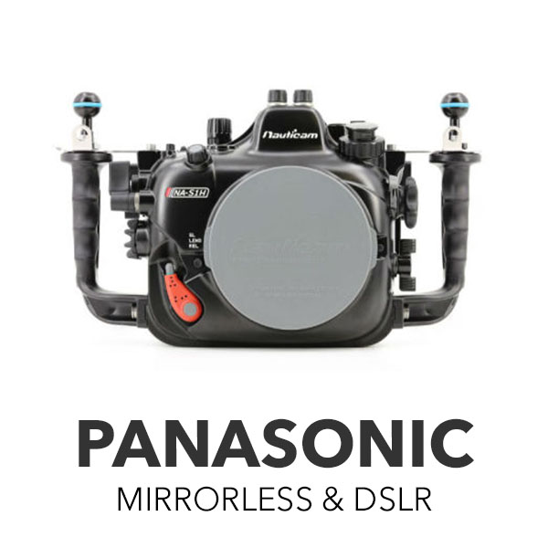 Panasonic Mirrorless & DSLR