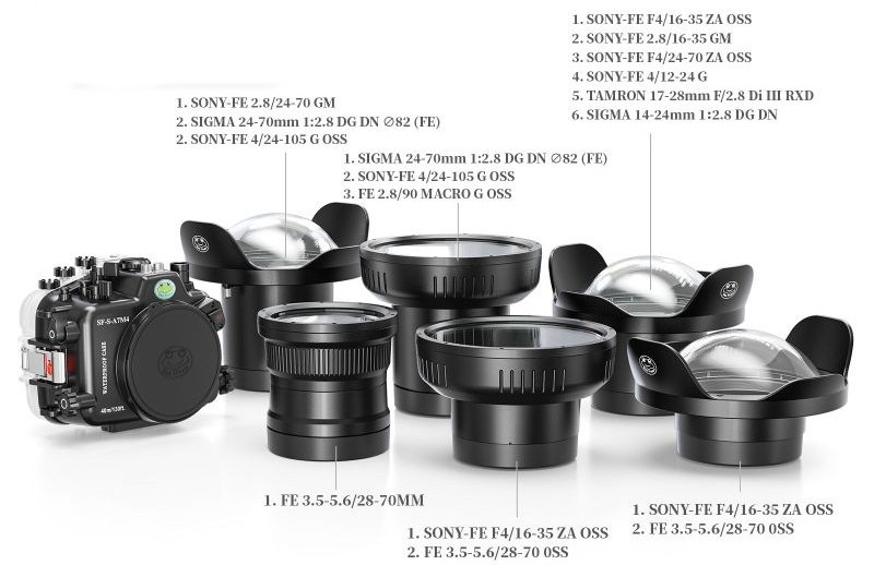 Sony ports Seafrogs