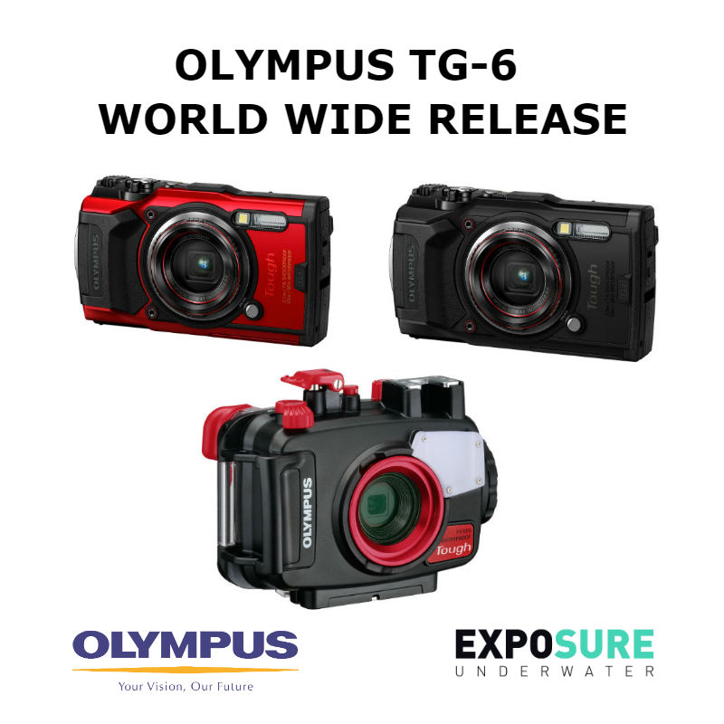 Olympus TG-6