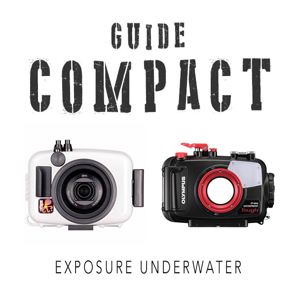 Guide Compact