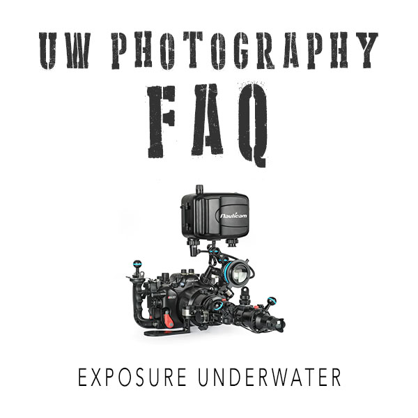 Frequently asked questions - UW Photography