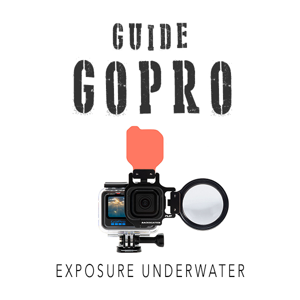 Guide GoPro