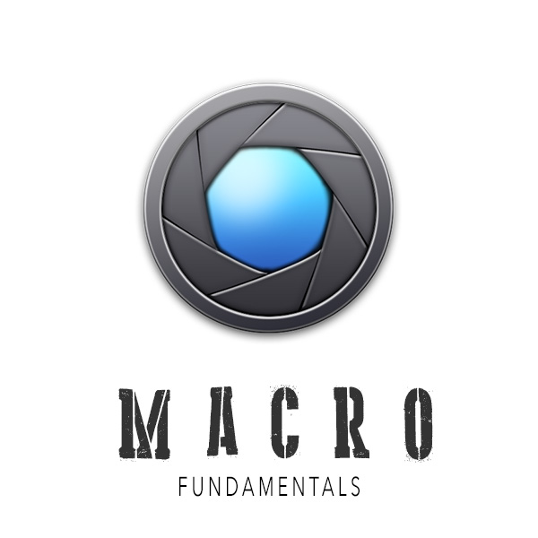 Fundamentals - Macro