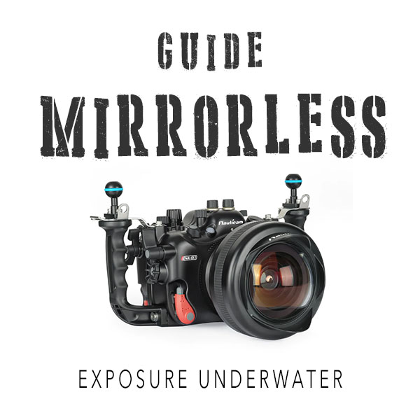 Guide Mirrorless