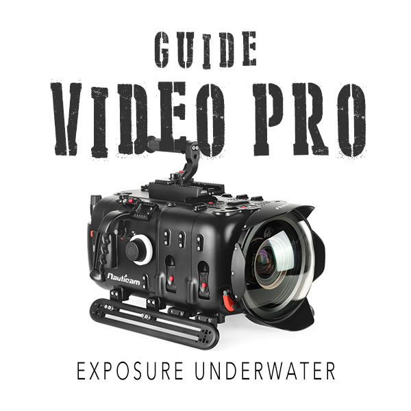 Guide Video Pro