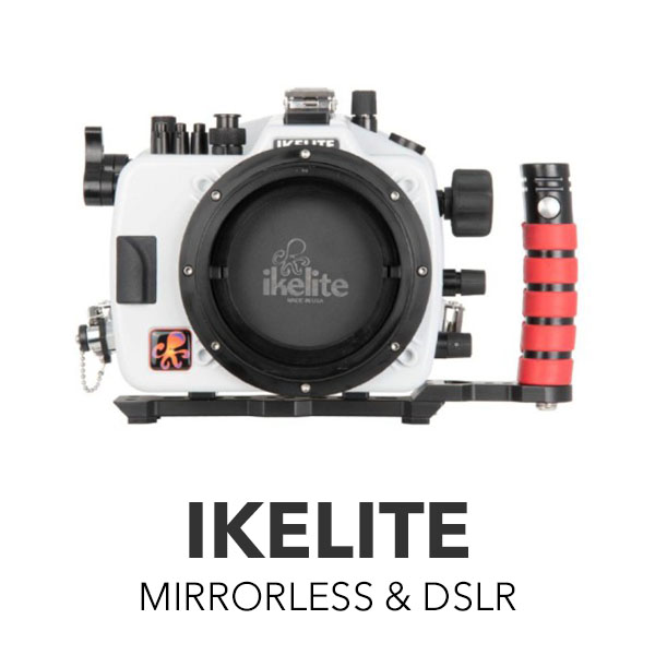 Ikelite ML & DSLR housings (Click here)