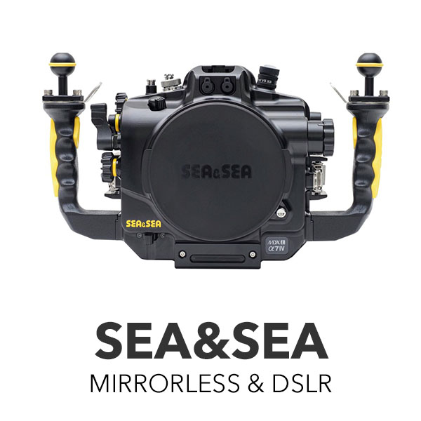 Sea&Sea ML & DSLR housings (Click here)