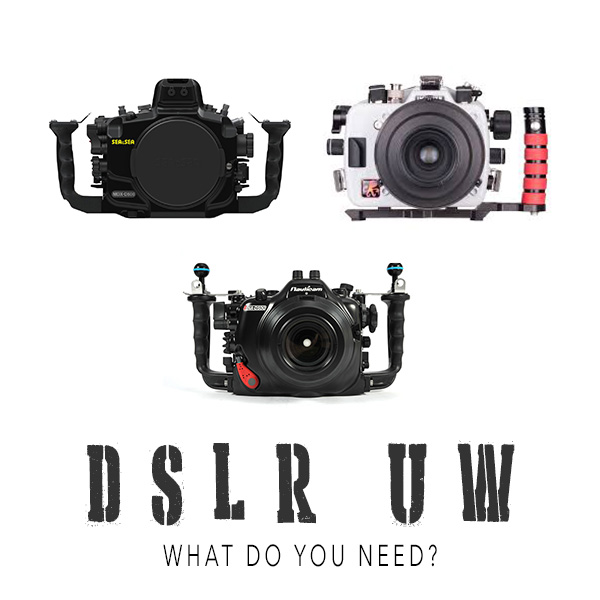 How to buy a DSLR system