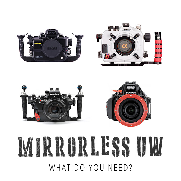How to buy a Mirrorless system