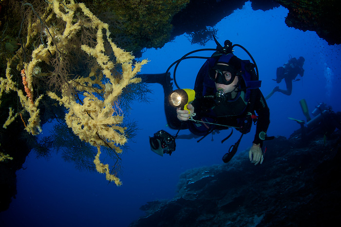 © Henrik Jonsson - Exploring diver - Philippines © Henrik Jonsson - Exploring diver - Philippines