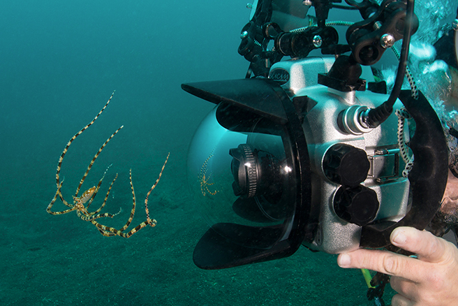 © Magnus Lundgren - Group in zodiac - Azores 2013 © Magnus Lundgren - Group in zodiac - Azores 2013