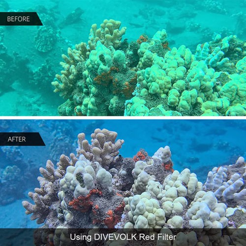 Divevolk redfilter in use