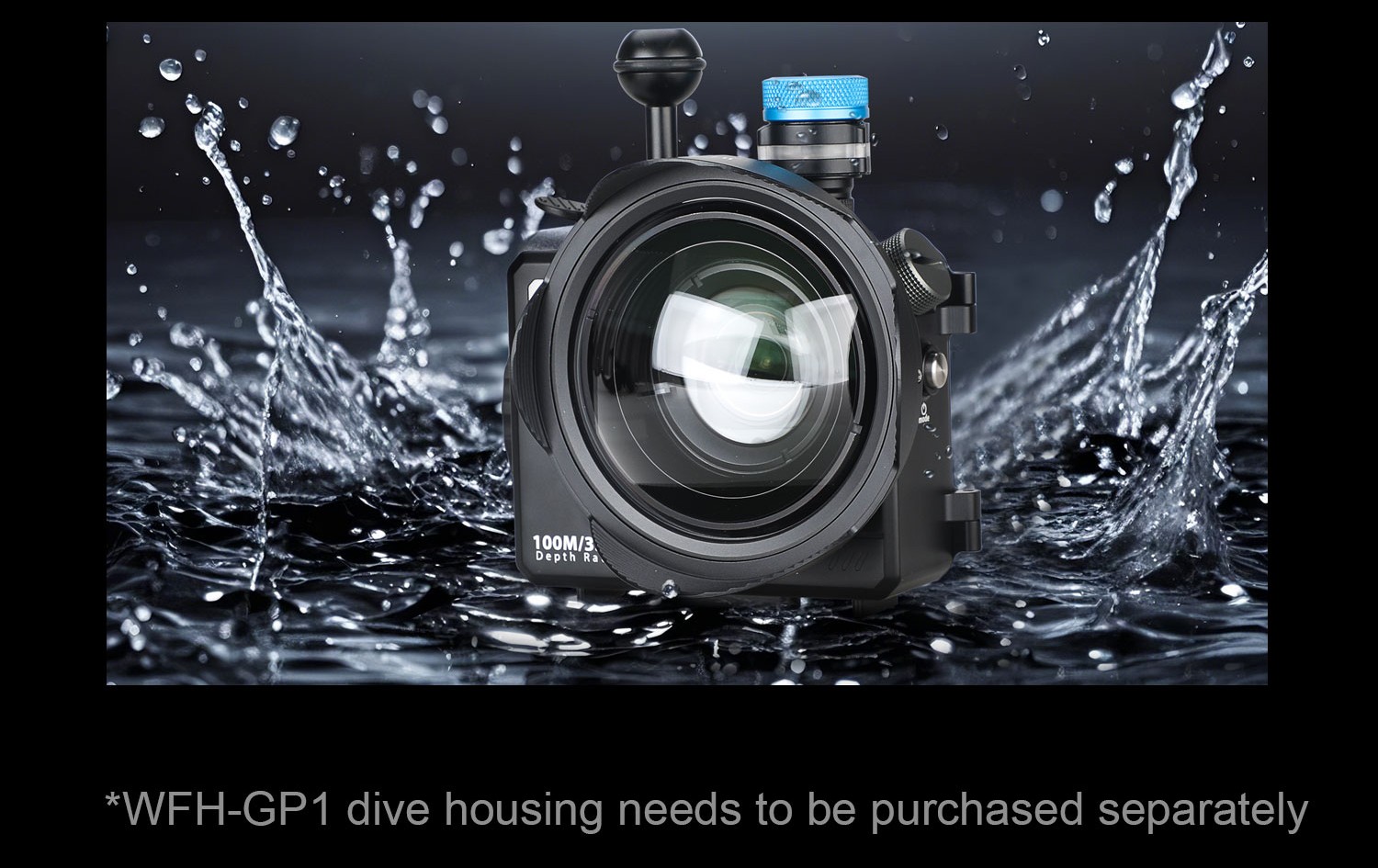 Lens with GoPro mounted