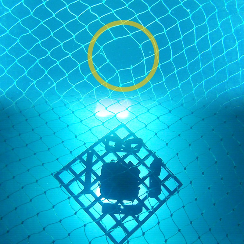 Net patch c Net patch c